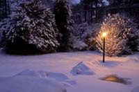 Yard Light in Snow