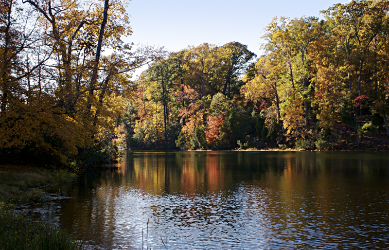 WormlyPond