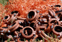 Pipe_Fittings