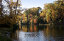 Wormley_Pond