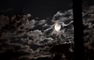 Spring Moon